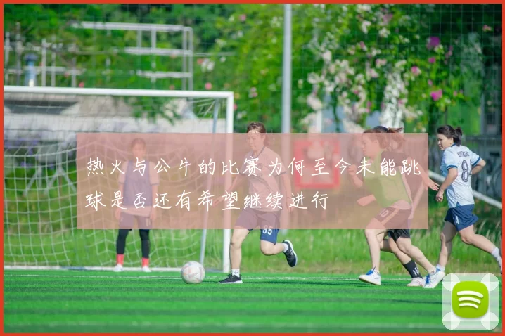 热火与公牛的比赛为何至今未能跳球是否还有希望继续进行