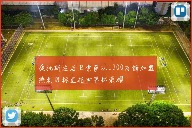 桑托斯左后卫索萨以1300万镑加盟热刺目标直指世界杯荣耀